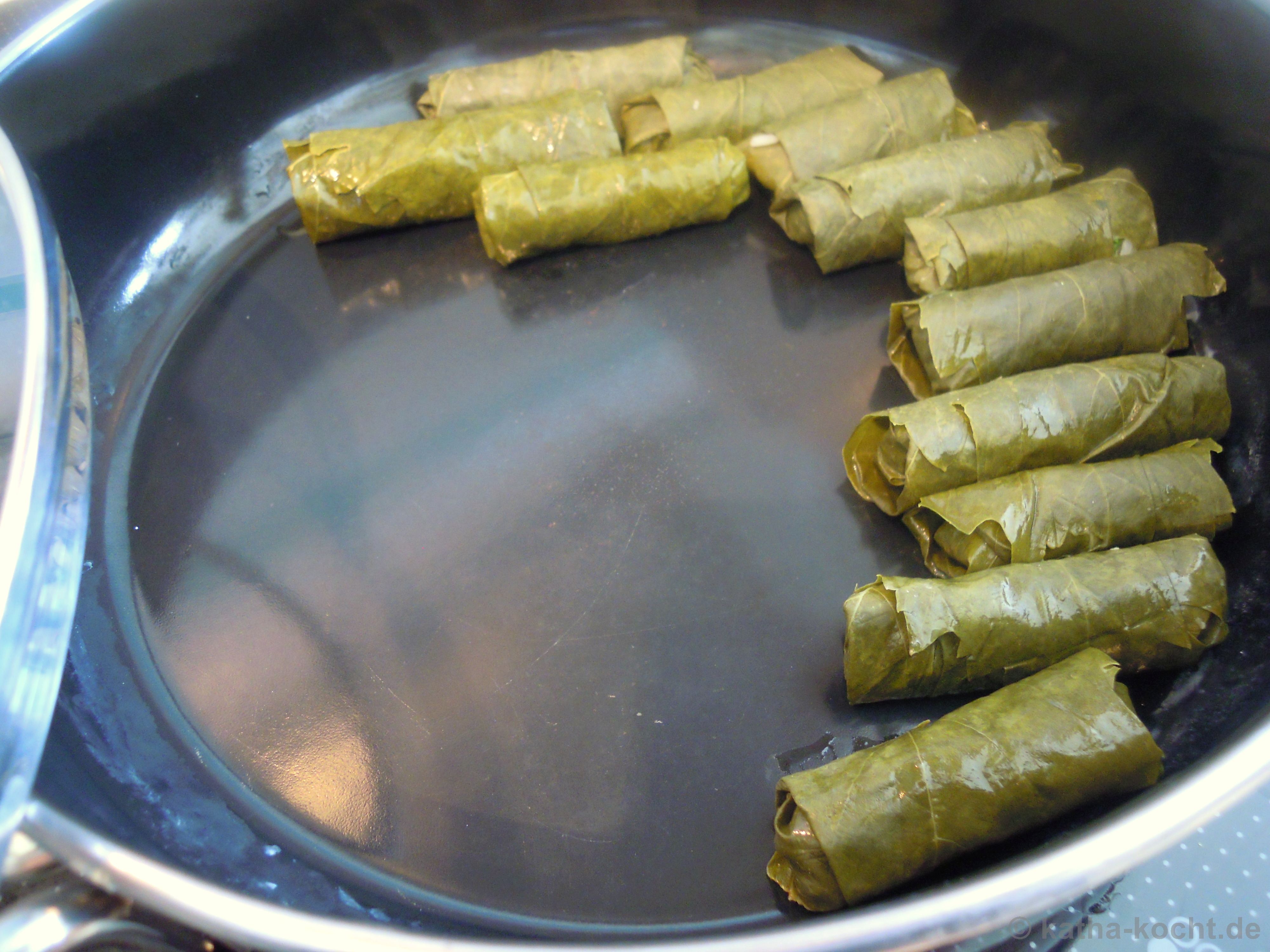 Geschnetzeltes nach Gyrosart mit gefüllten Weinblättern und Tsatziki ...