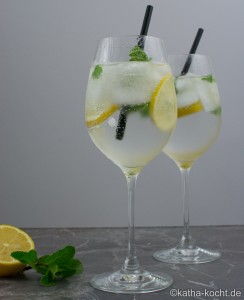 Gin Tonic mit Minze