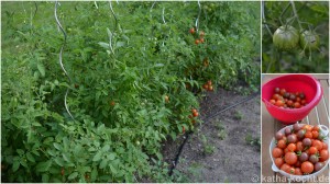 Fotos für katha-kocht6-001