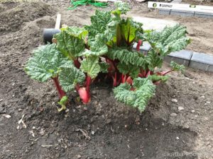 Garteneinblick 2017 - Anfang April